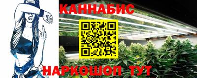стаф Ярославль