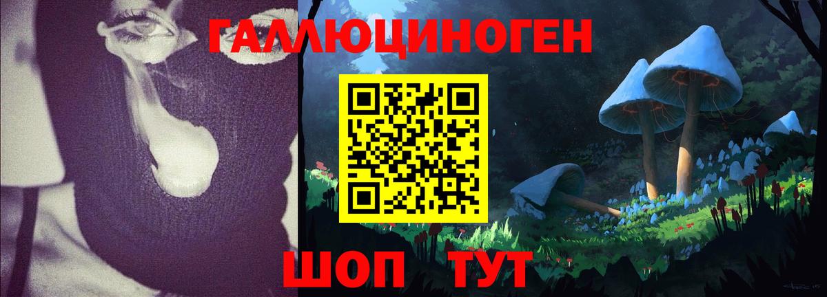 Галлюциногенные грибы прущие грибы Артёмовский