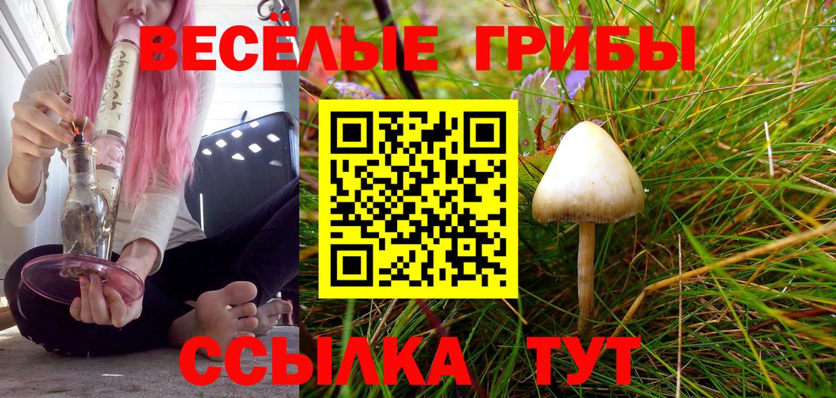 Галлюциногенные грибы GOLDEN TEACHER  Вход с VPN  Артёмовский 